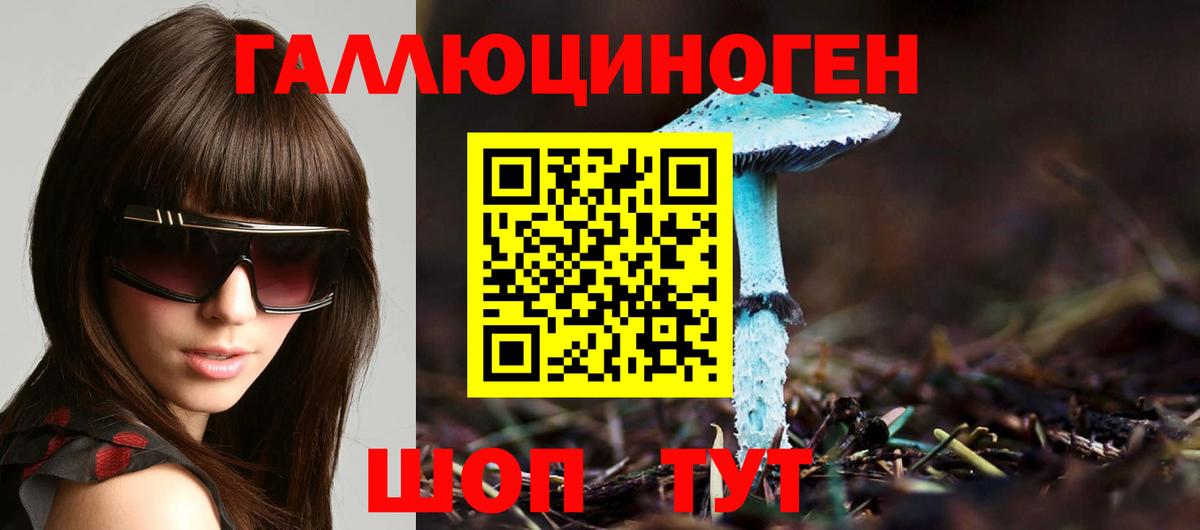 Солнечногорск  Псилоцибиновые грибы GOLDEN TEACHER  Вход с VPN  Галлюциногенные грибы Cubensis 