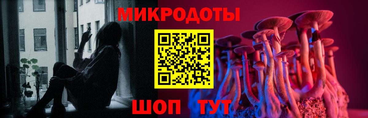 Псилоцибиновые грибы Cubensis Солнечногорск